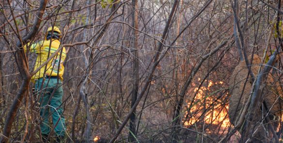 Meio Ambiente intensifica ações de combate aos incêndios florestais