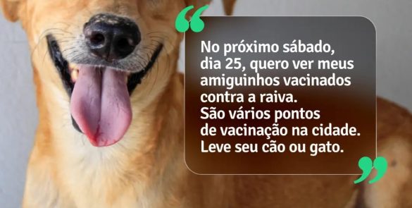 Vacinação antirrábica começa no sábado, dia 25