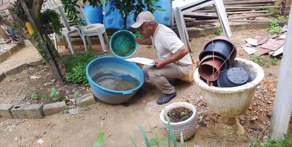 Saúde intensifica ação de combate ao mosquito Aedes