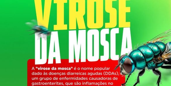 Saúde alerta para os casos de virose da mosca